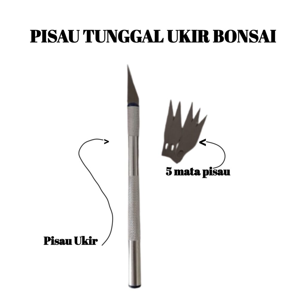 Jual Pisau Ukir Sayat Bonsai Buah Kelapa Set Mata Kayu Kerajinan Tangan