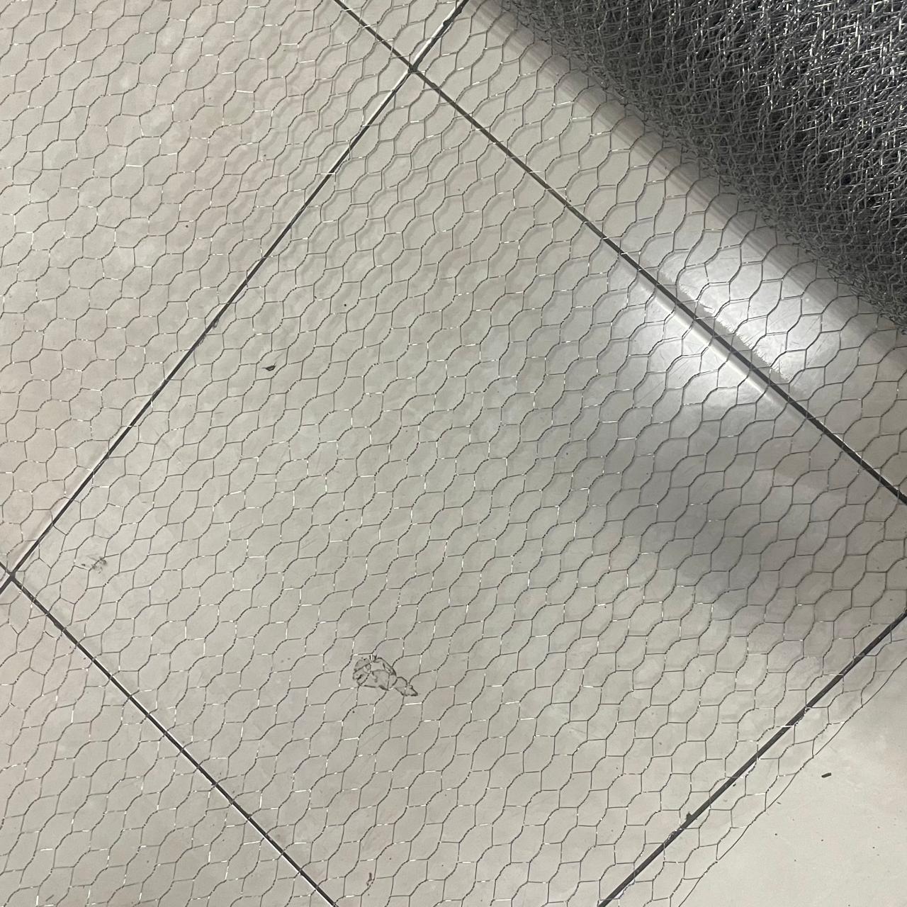 WhatsApp Image 2025-12-13 at 13.45.47_4330c54c