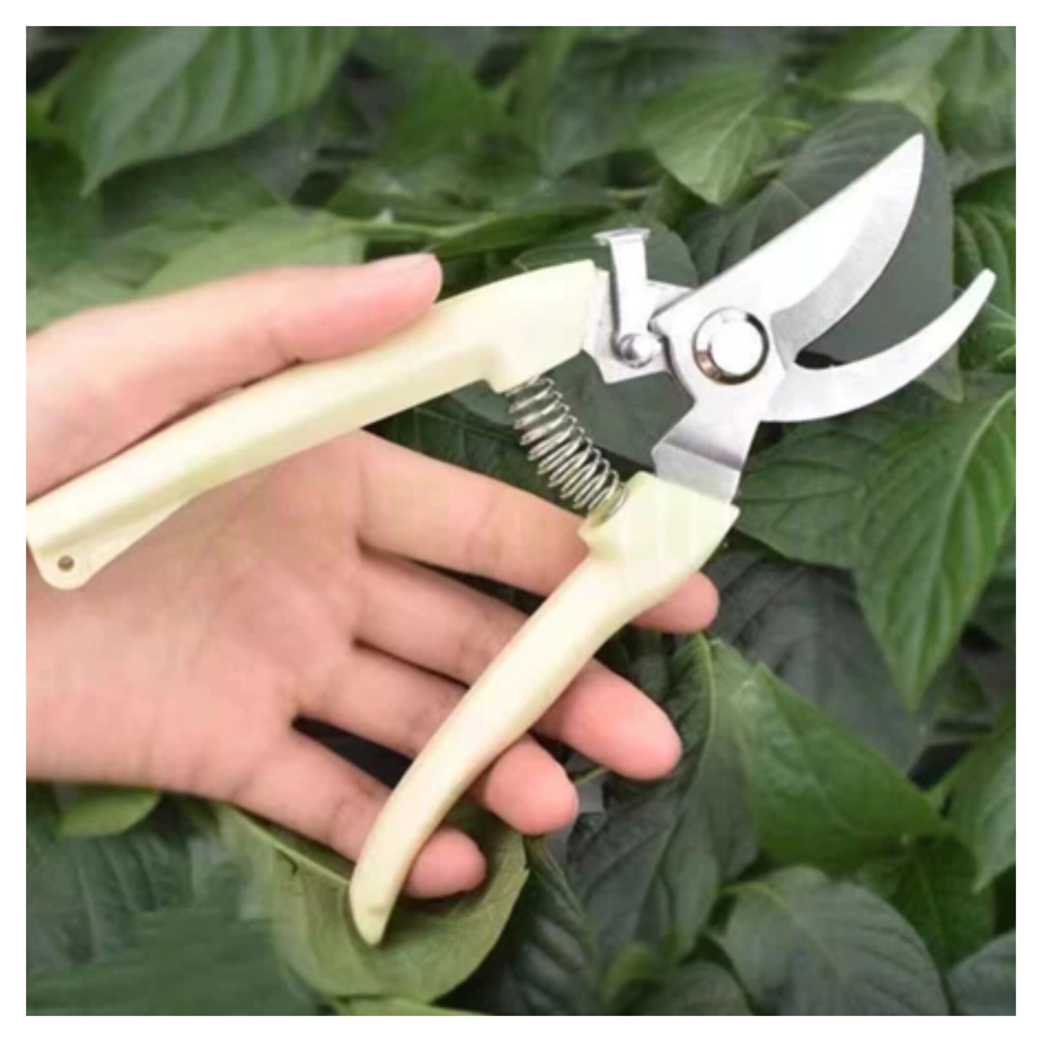 Jual Gunting Dahan 1011 Ranting Tanaman Pohon Garden Pruning Shears ...